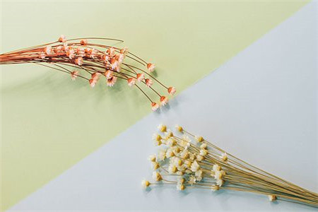天津成人高考考試時間