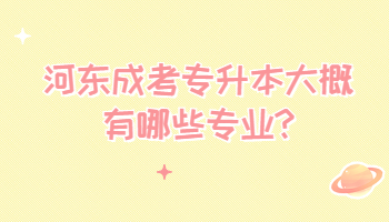 河?xùn)|成考專升本大概有哪些專業(yè)