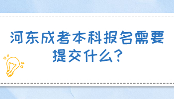 河東成考本科報名需要提交什么
