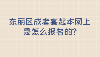 東麗區成考高起本網上是怎么報名的